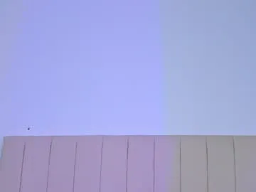 dennis_munera Image 13