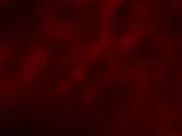 kloelamaravilla18 Image 15